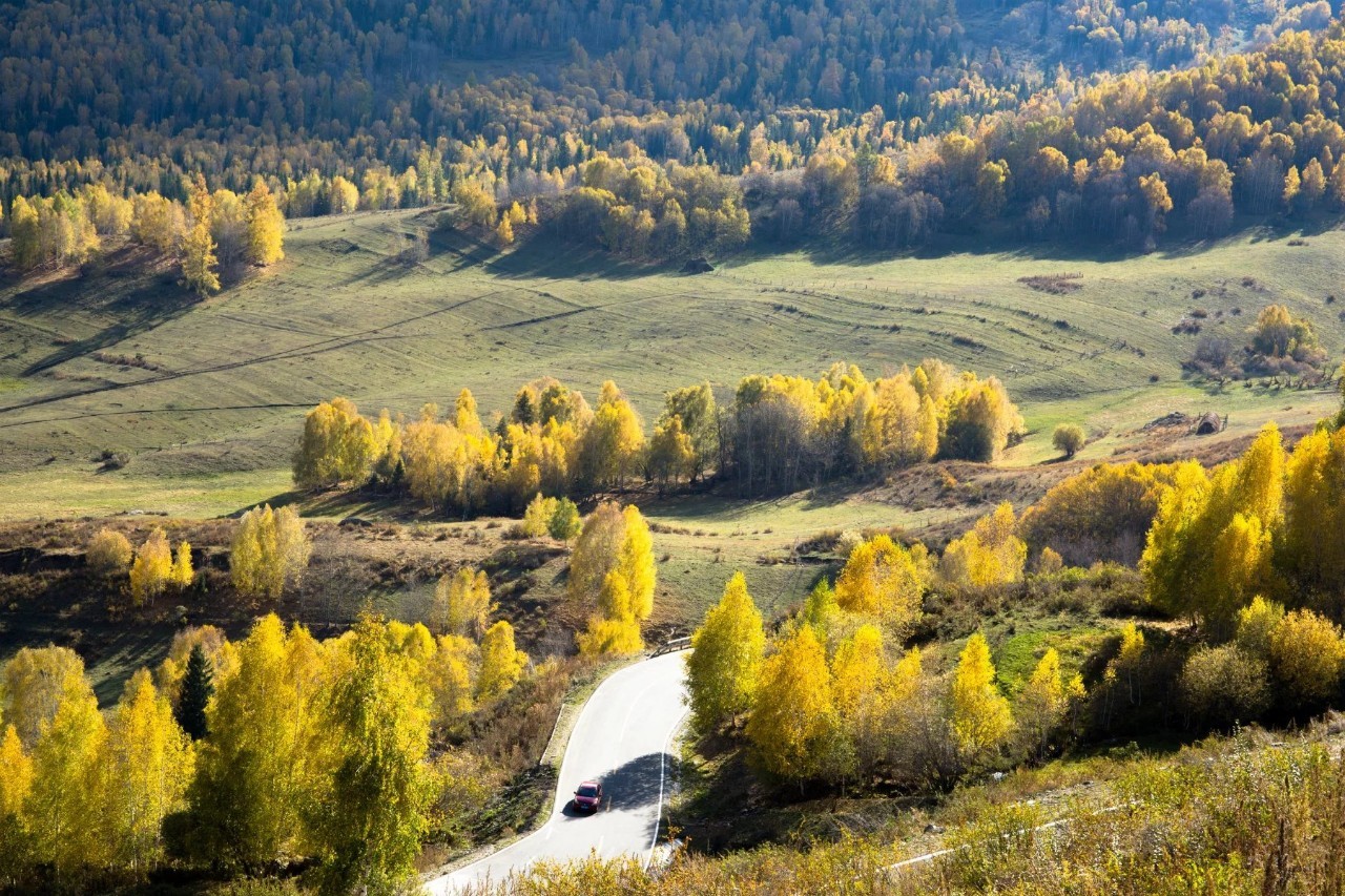 新疆，地理、历史、文化与现状探秘